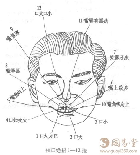 鼻子嘴巴中間|鼻子到嘴巴有两条线叫什么